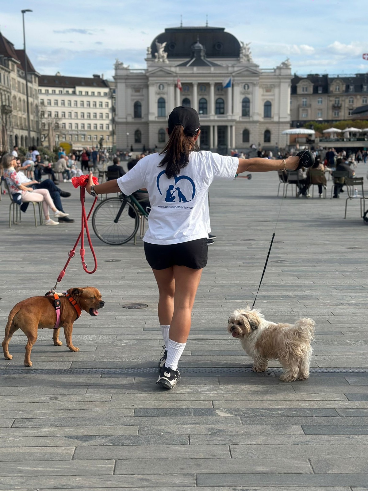 Lago alpino con perros